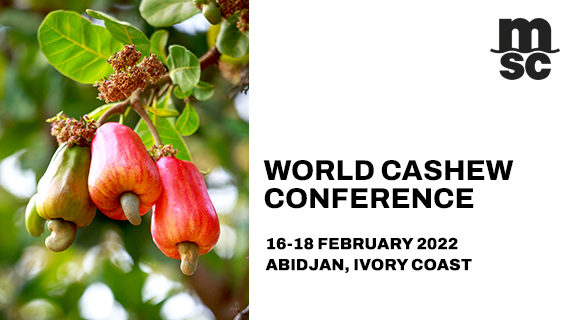 cashew hanging from a tree with conference announcement