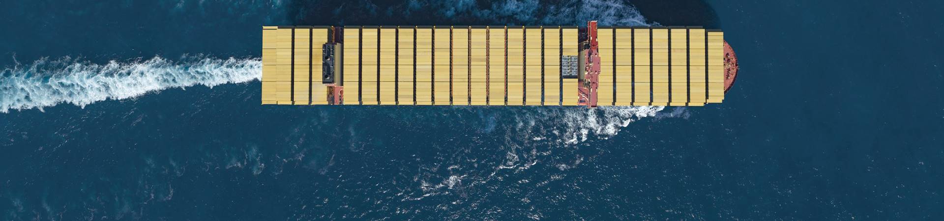 MSC Future Standalone East/West Network 2025