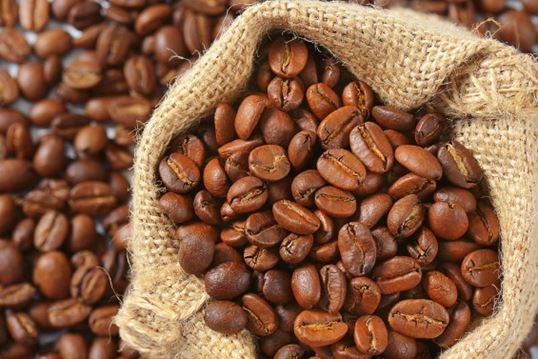 Agriculture, coffee beans