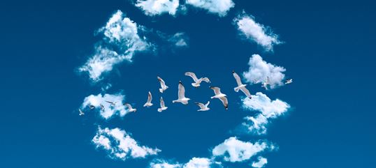 Birds flying among clouds in a blue sky