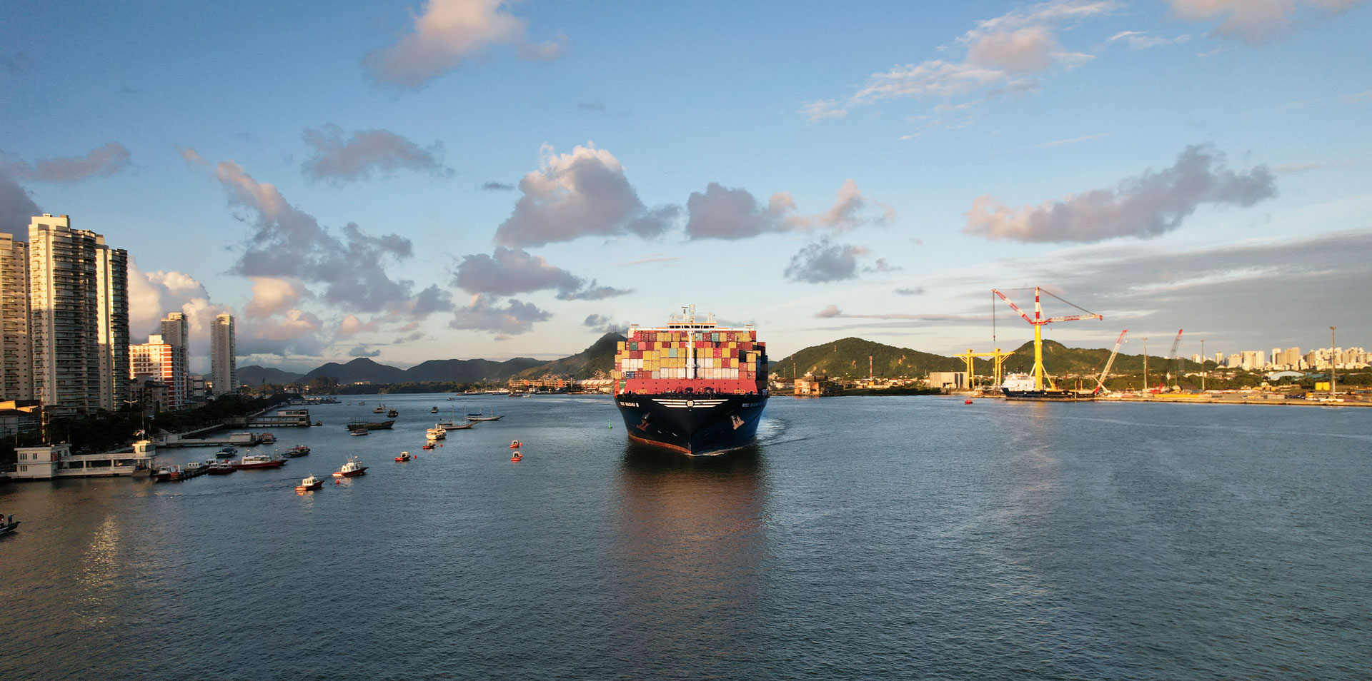 MSC Madhu B sailing near Brazil terminal